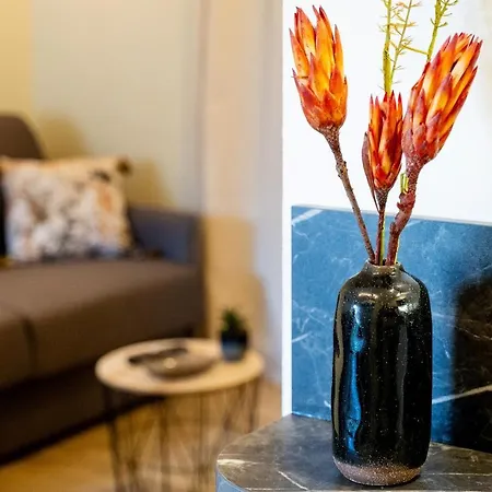 Appart. T 1 Bis, Centre Ville, Entierement Renove * 卢德