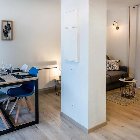Appart. T 1 Bis, Centre Ville, Entierement Renove Apartment Lourdes