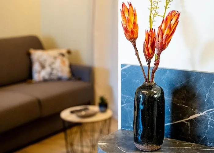 Appart. T 1 Bis, Centre Ville, Entierement Renove * Lourdes