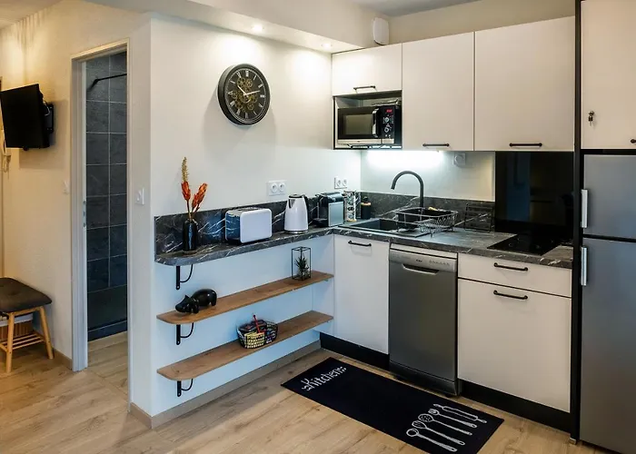 Appart. T 1 Bis, Centre Ville, Entierement Renove